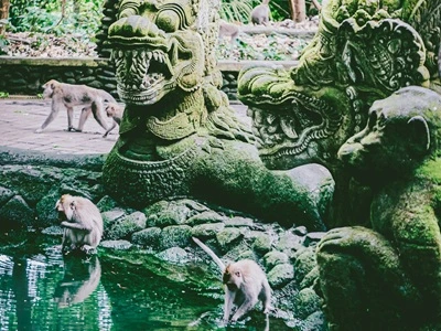 Bali Ubud Tours
